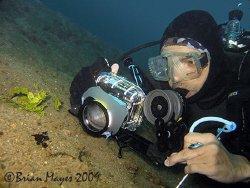 While photographing a tiny painted frogfish, Larry shows ... by Brian Mayes 